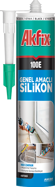 100E GENEL AMAÇLI SİLİKON